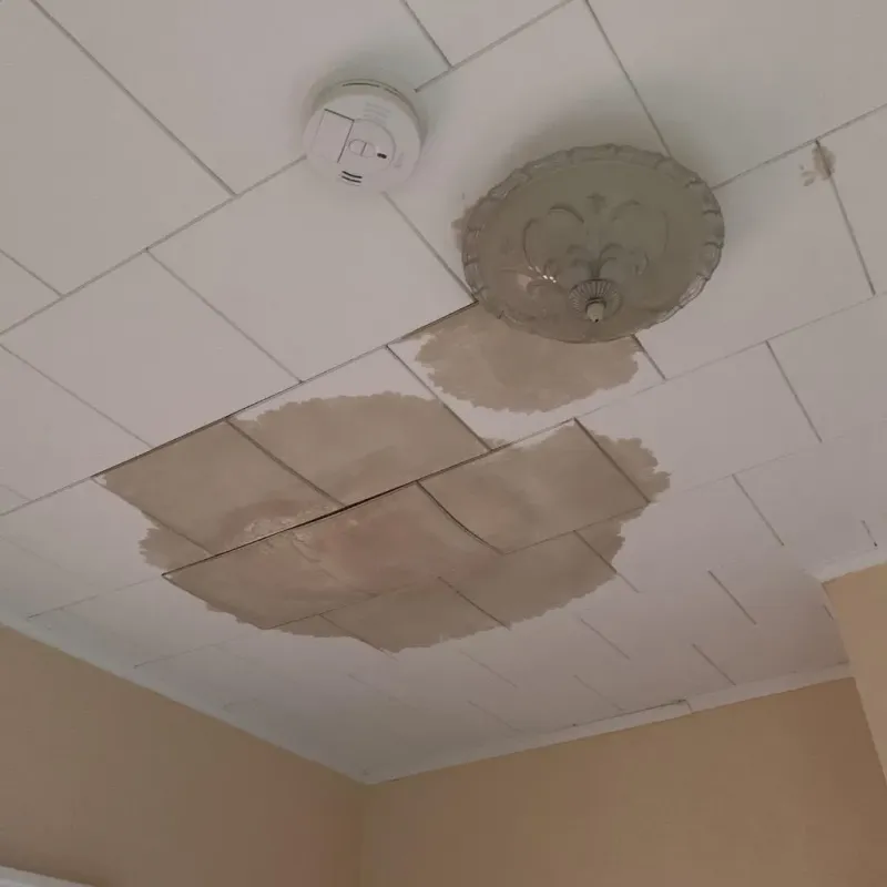 Ceiling Water Damage Repair in Euless, TX
